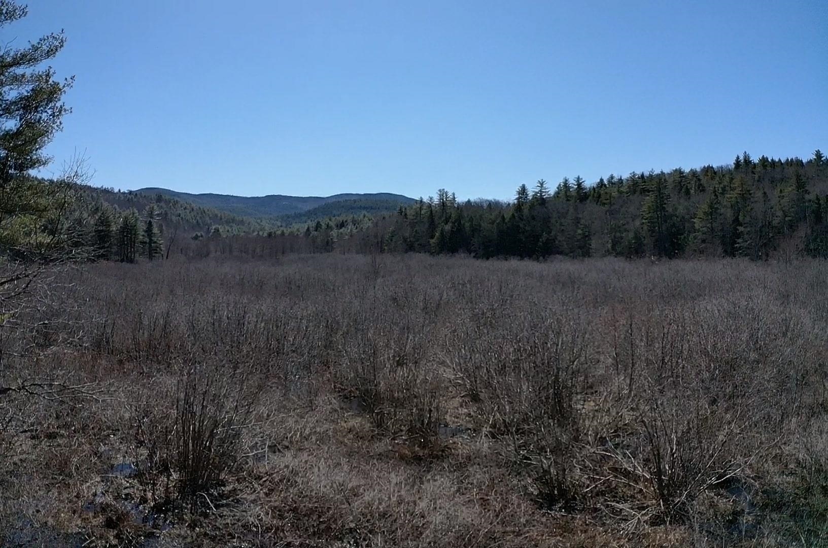 0 Roby Rd, Sutton, NH 03273