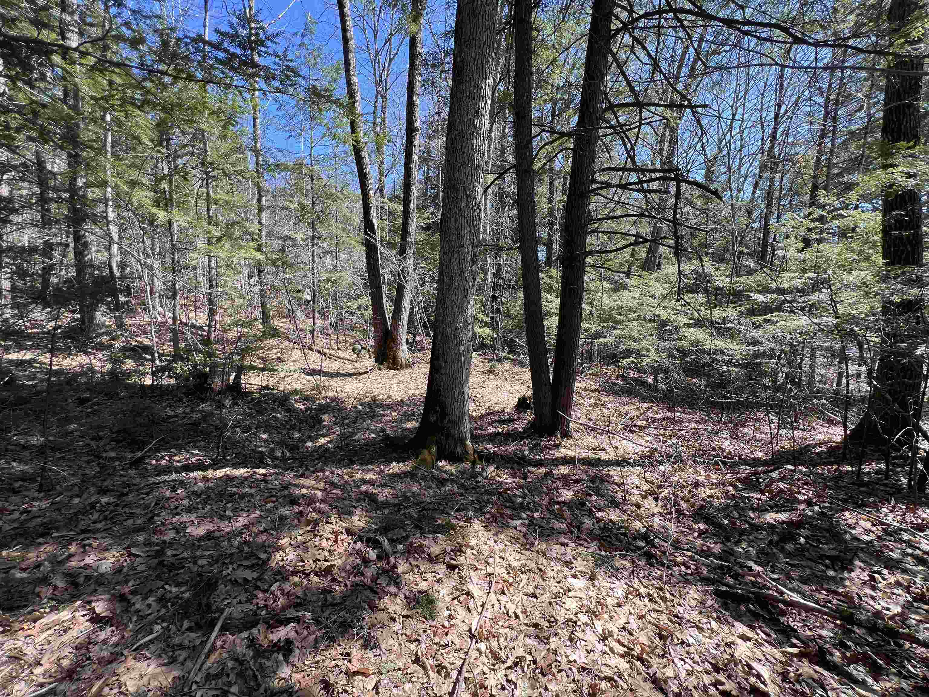 Roby Rd, Sutton, NH 03273