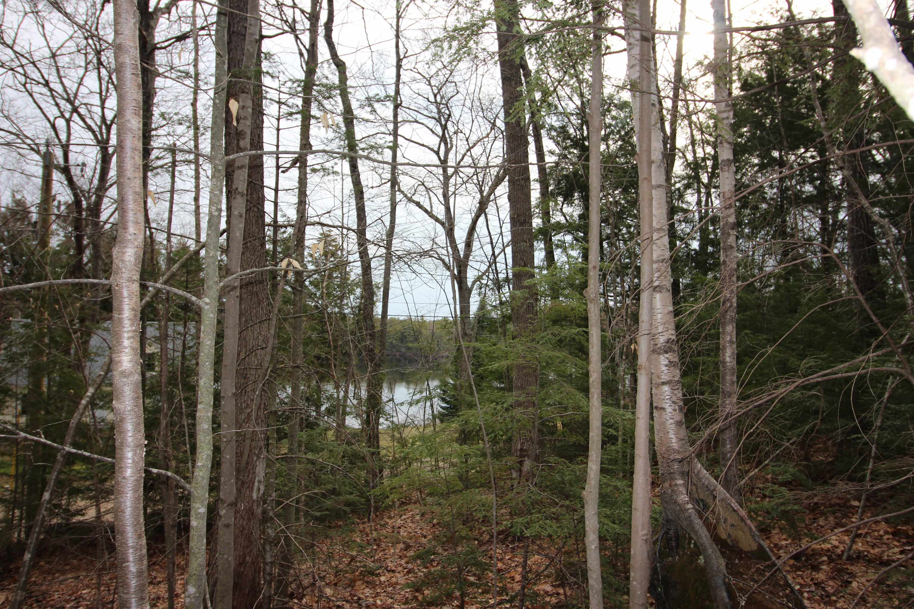 Lot 19-17 Northeast Pond Rd, Milton, NH 03851