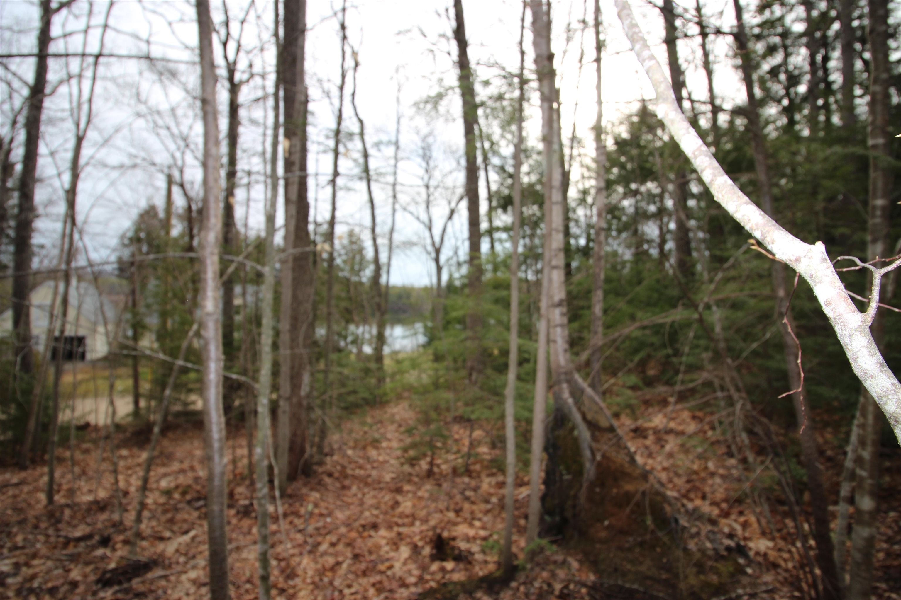Lot 19-17 Northeast Pond Rd, Milton, NH 03851