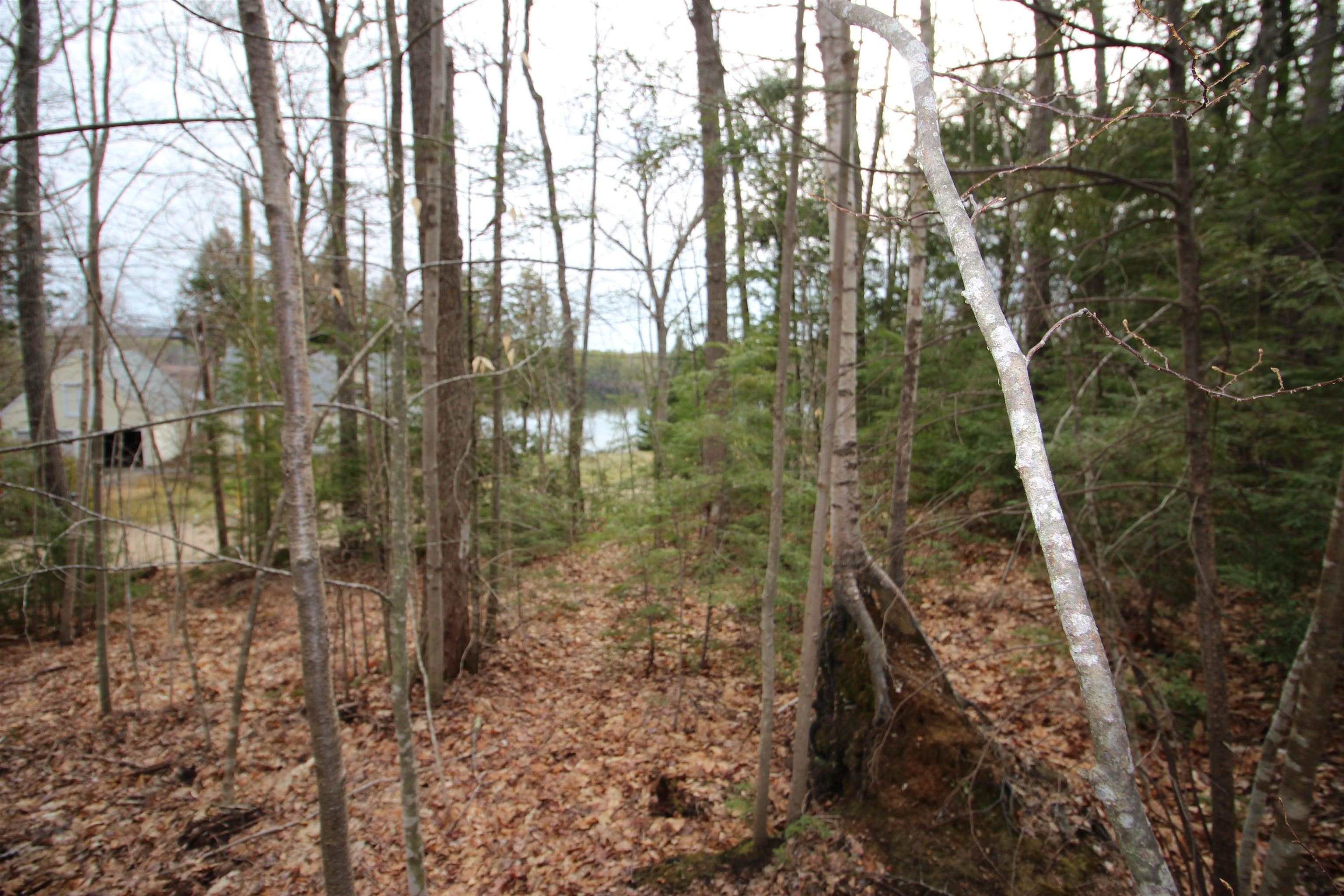 Lot 19-17 Northeast Pond Rd, Milton, NH 03851