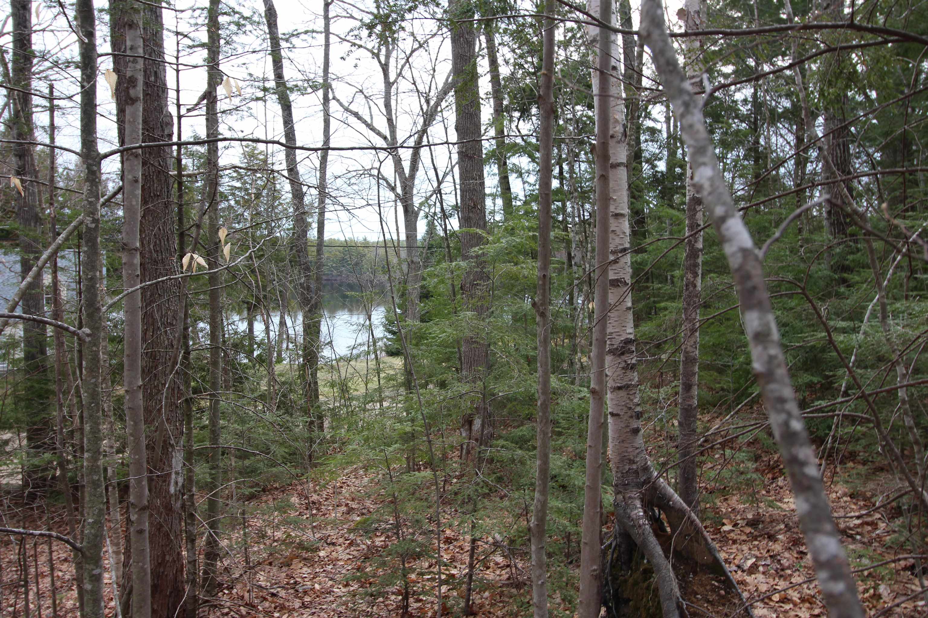 Lot 19-17 Northeast Pond Rd, Milton, NH 03851