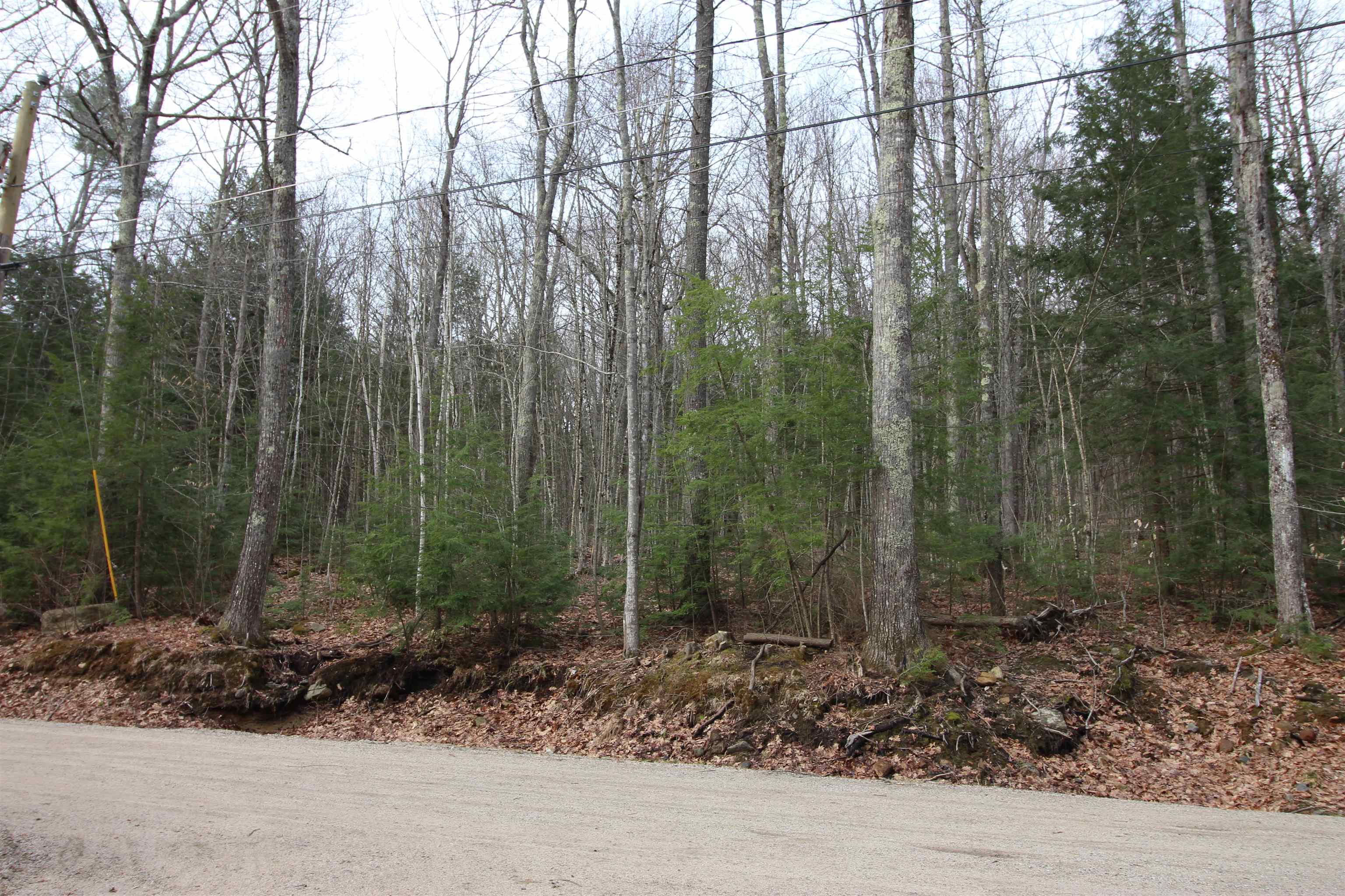 Lot 19-17 Northeast Pond Rd, Milton, NH 03851