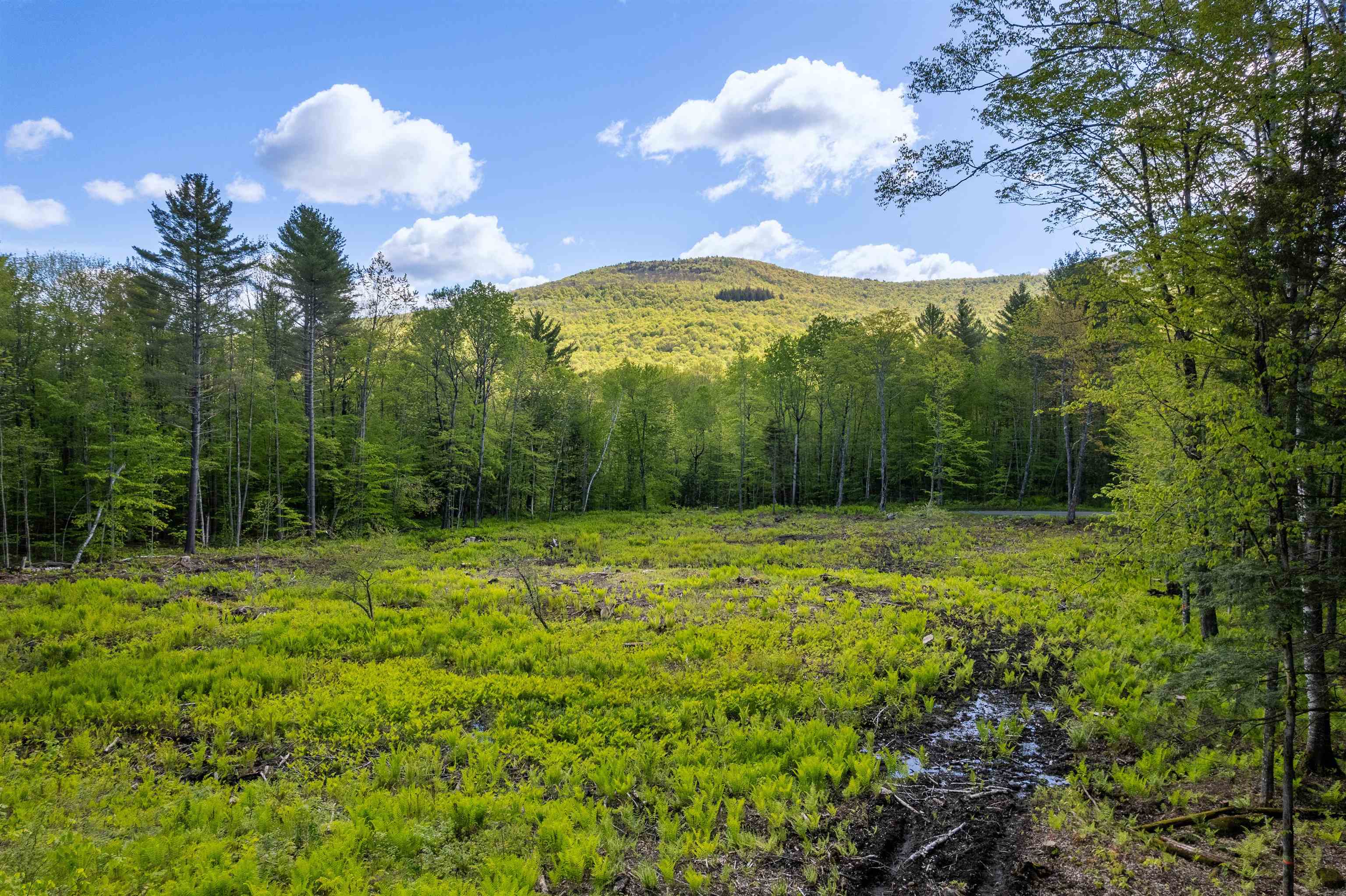 WOODSTOCK VT&nbsp;Land / Acres for sale