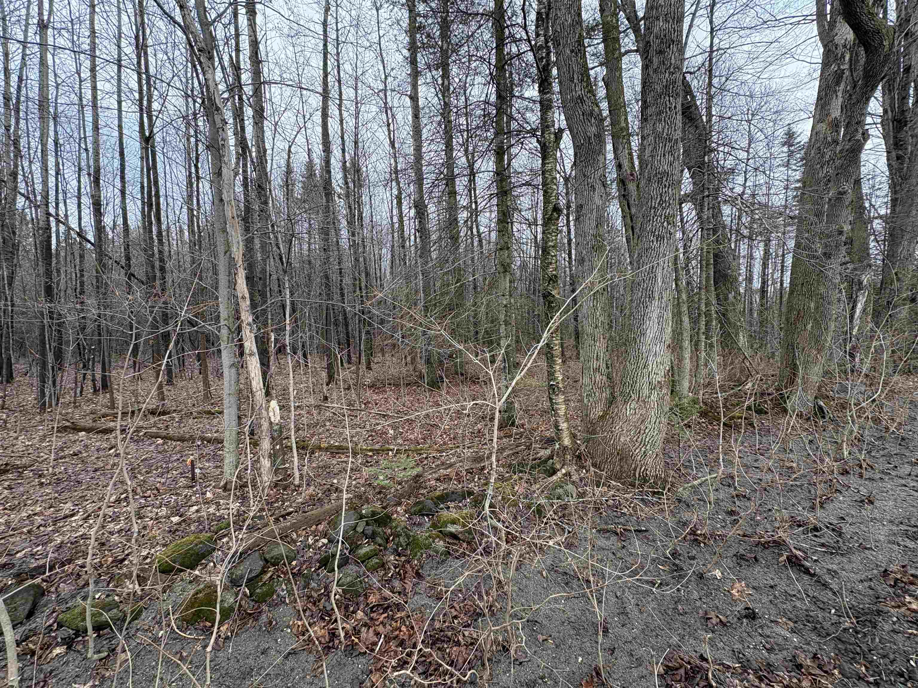 Partridge Ln, Danville, VT 05828