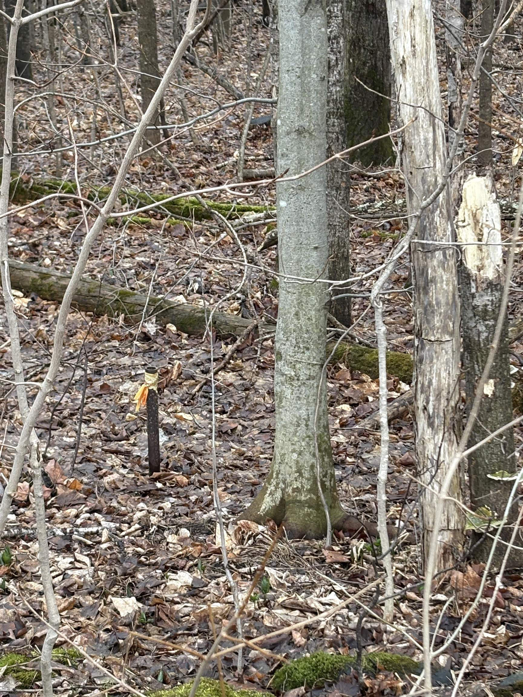 Partridge Ln, Danville, VT 05828