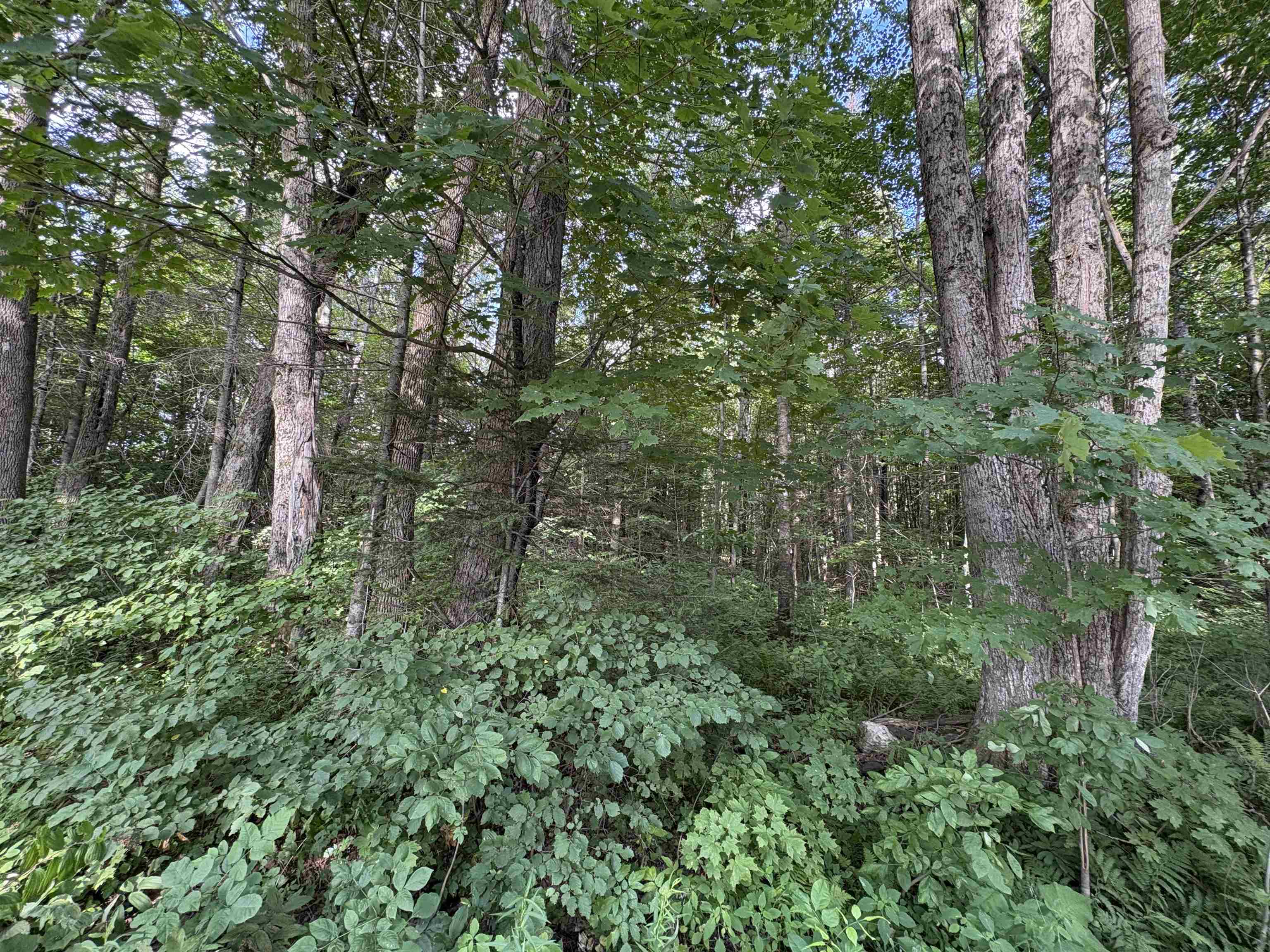 Partridge Ln, Danville, VT 05828