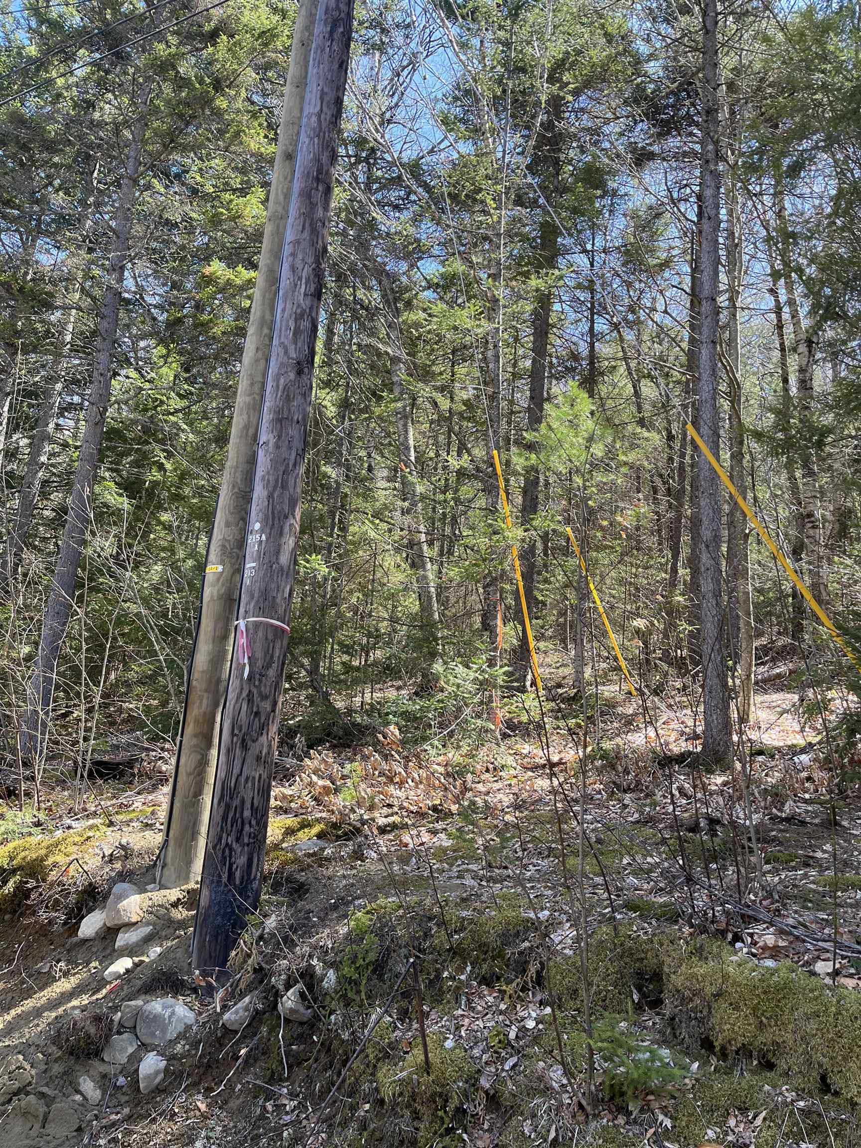 5-16-19 Boulder Dr, Campton, NH 03223