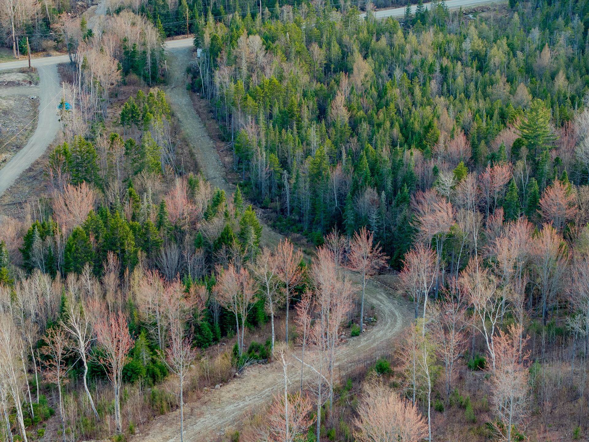 460 Milan Hill Rd, Milan, NH 08588