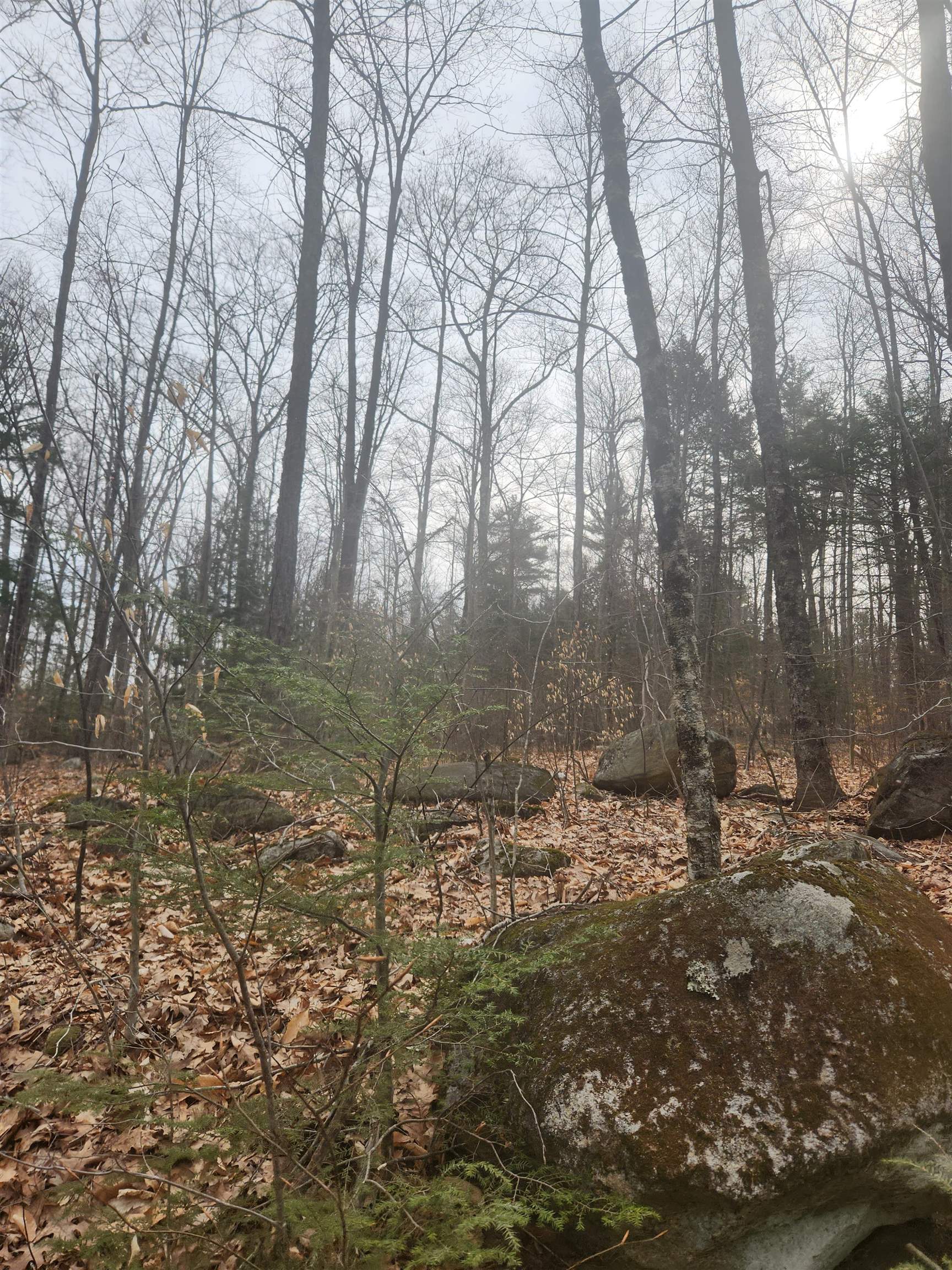 Attleboro Mountain Rd, Richmond, NH 03470