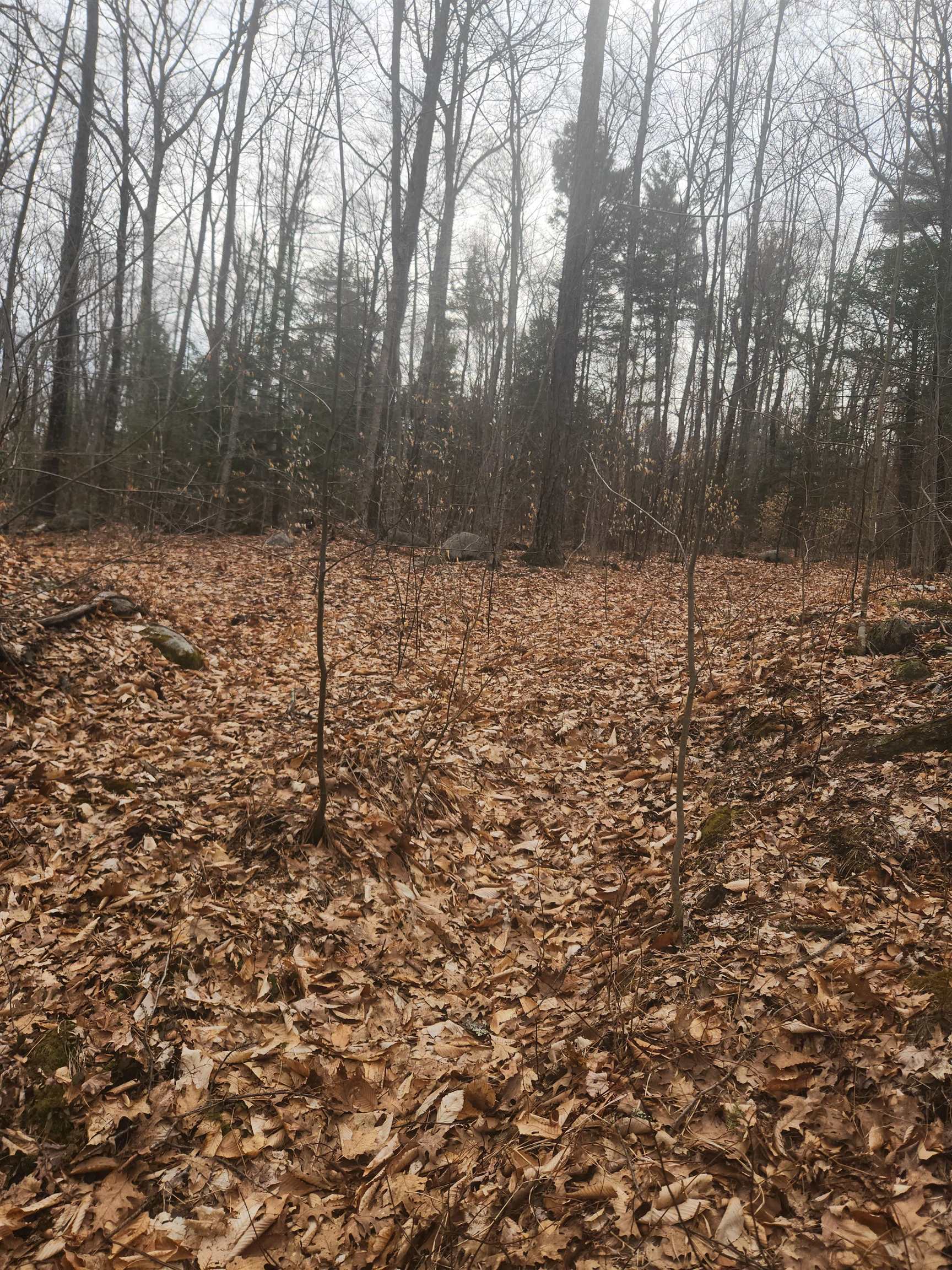 Attleboro Mountain Rd, Richmond, NH 03470