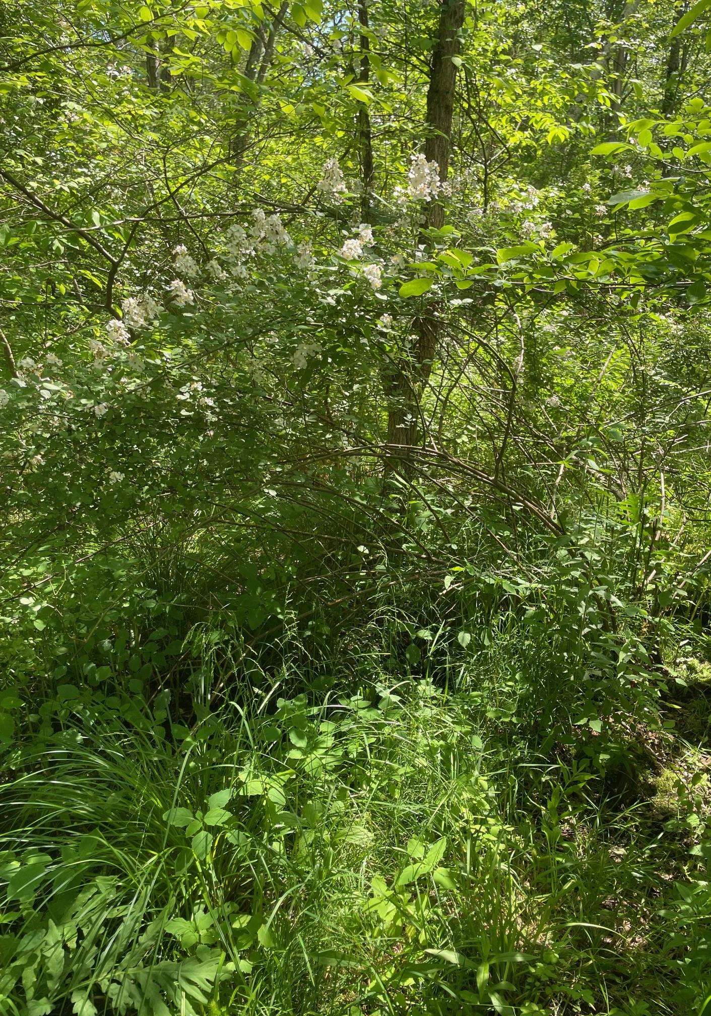 00 Lovell Rd, Stratham, NH 03885