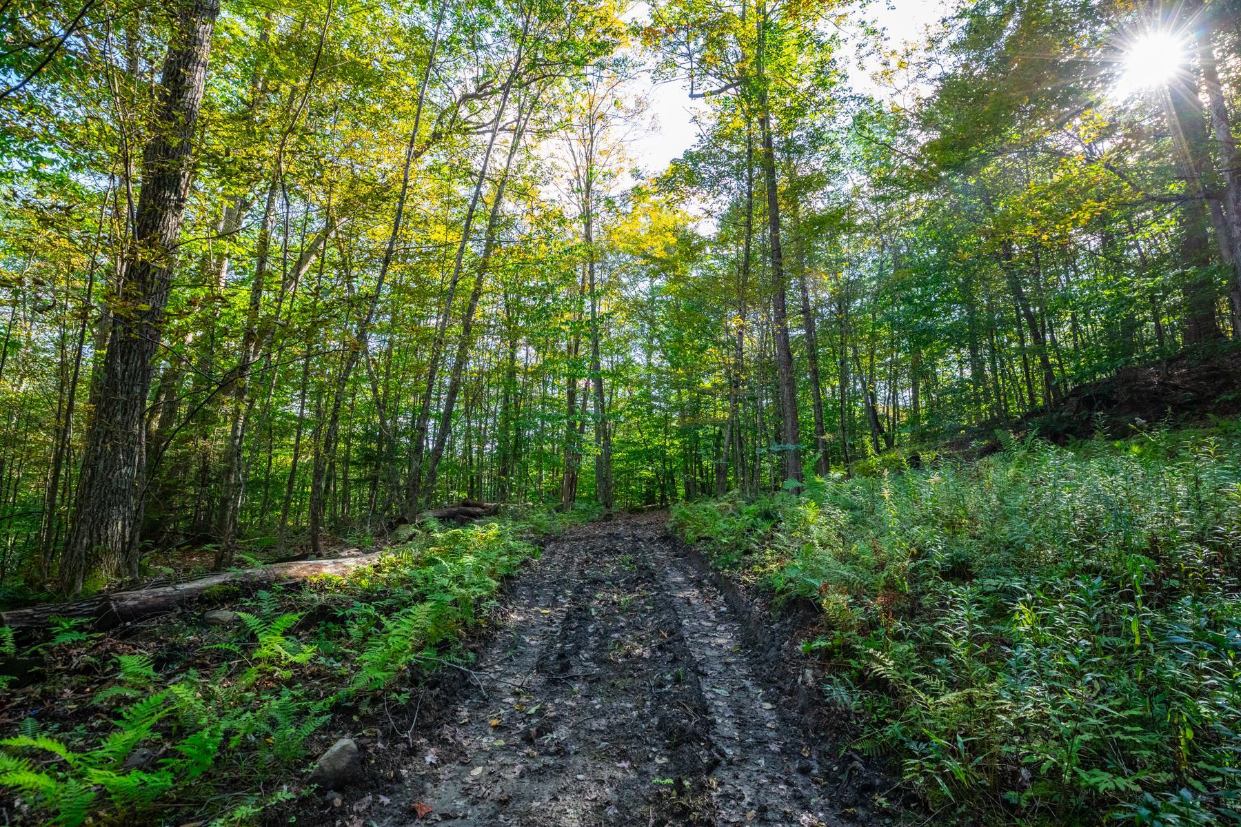   Click for more details  