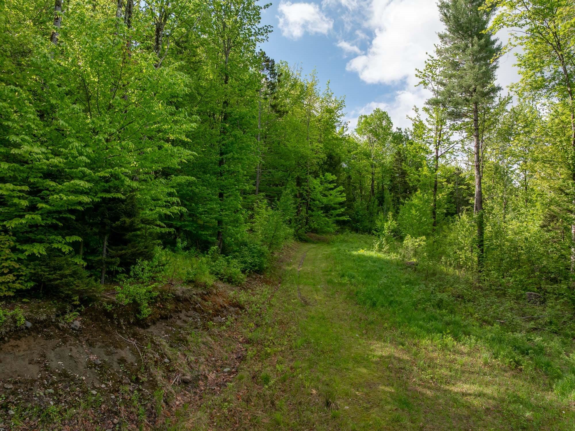 Waterbury VT&nbsp;Land for sale $$850,000 | 29.23 Acres  | Price Per Acre $0 