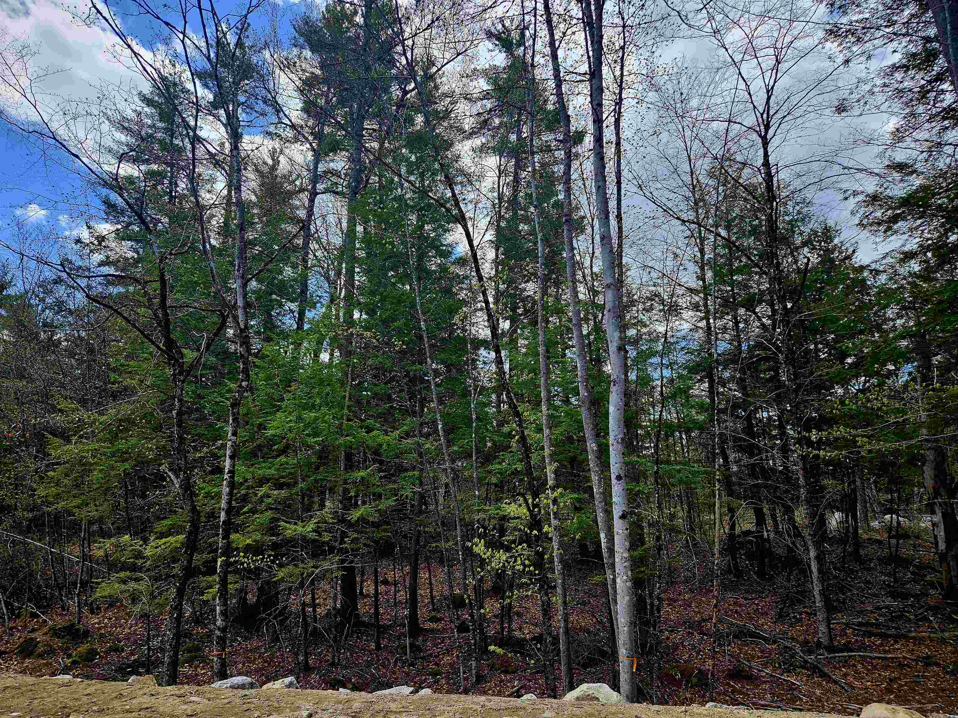 Lot 10 Bay Rd, Farmington, NH 03835