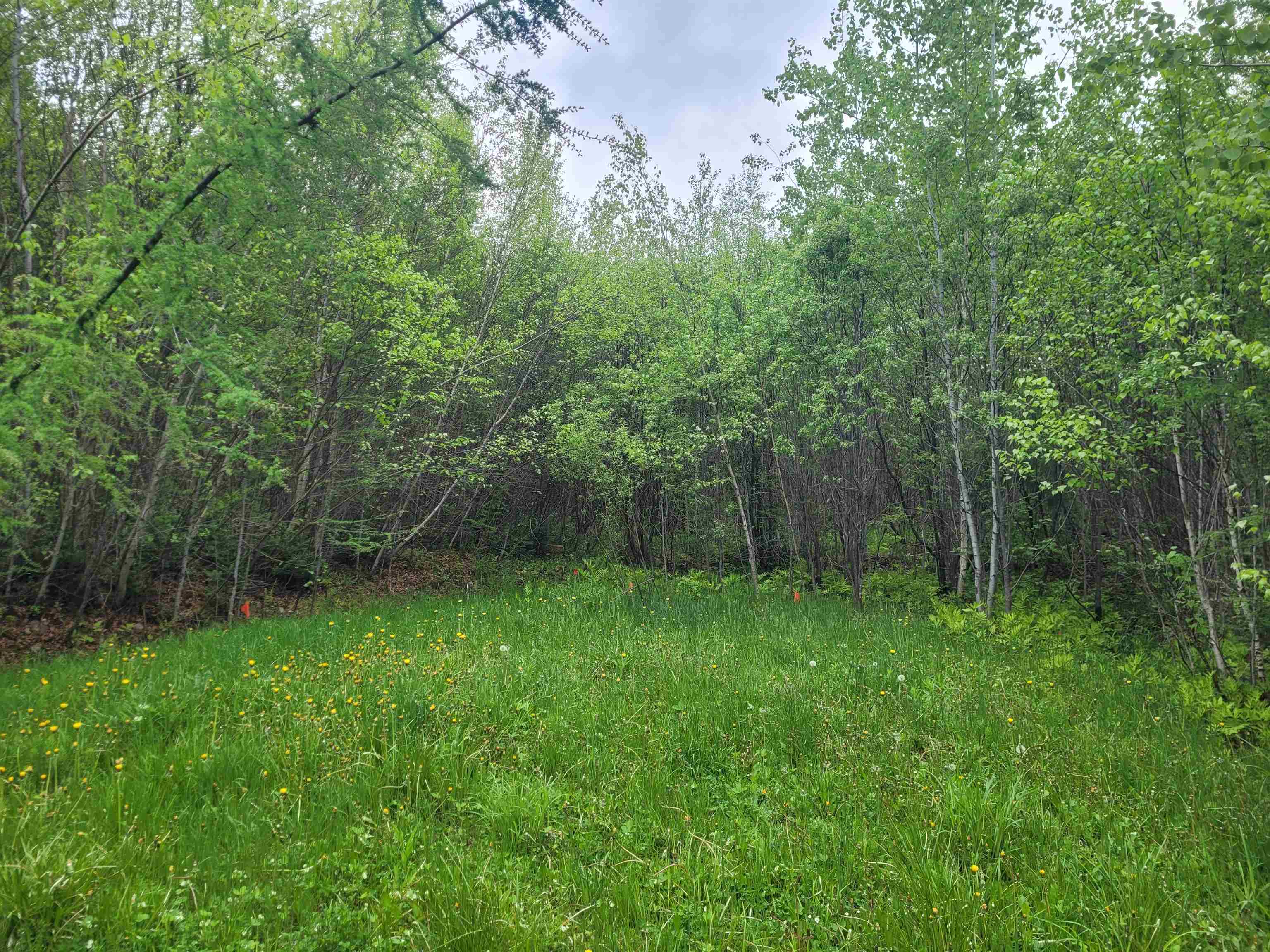 170 South Whitefield Rd, Whitefield, NH 03598