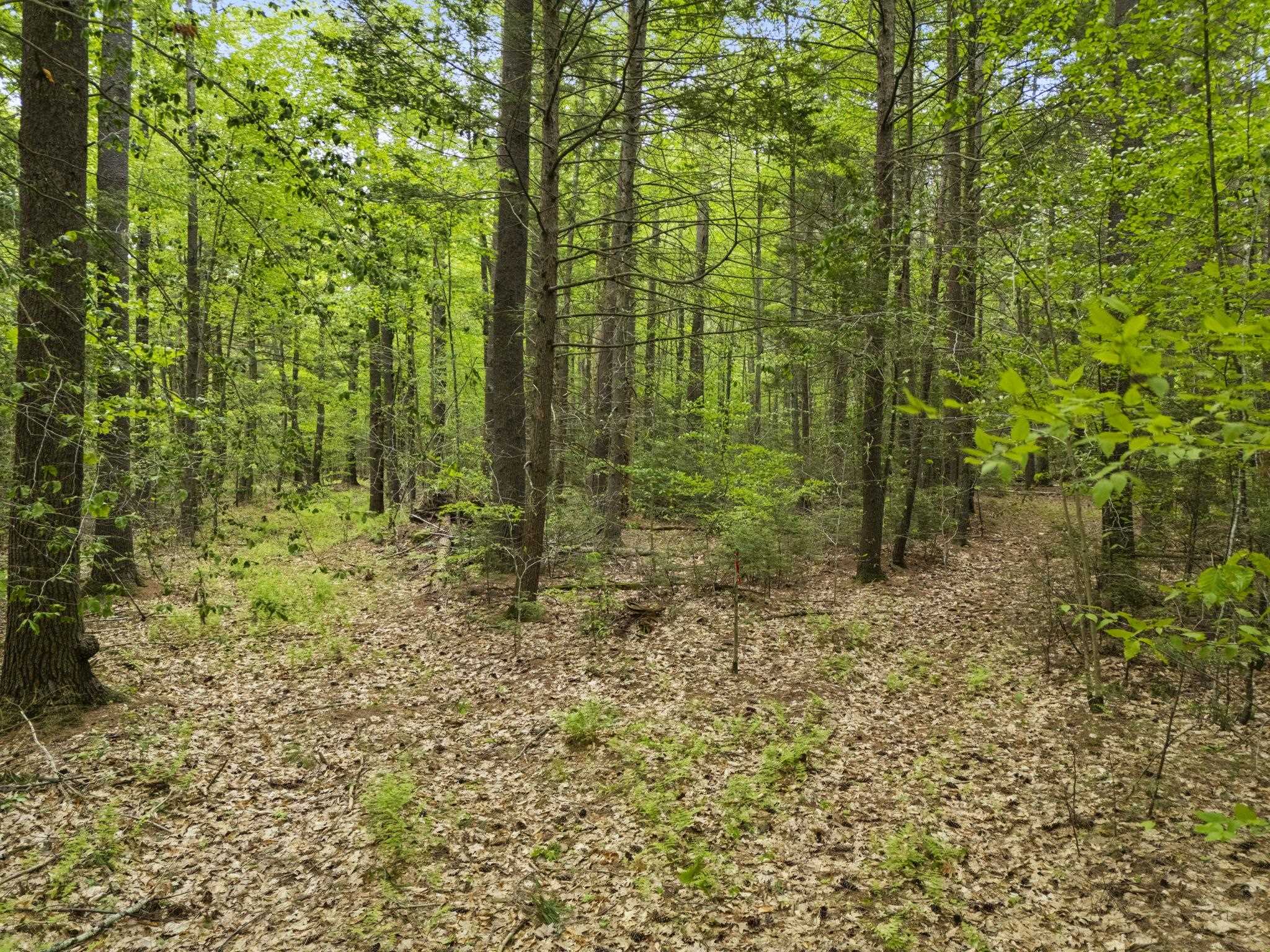 204 North Haverhill Rd, Kensington, NH 03833