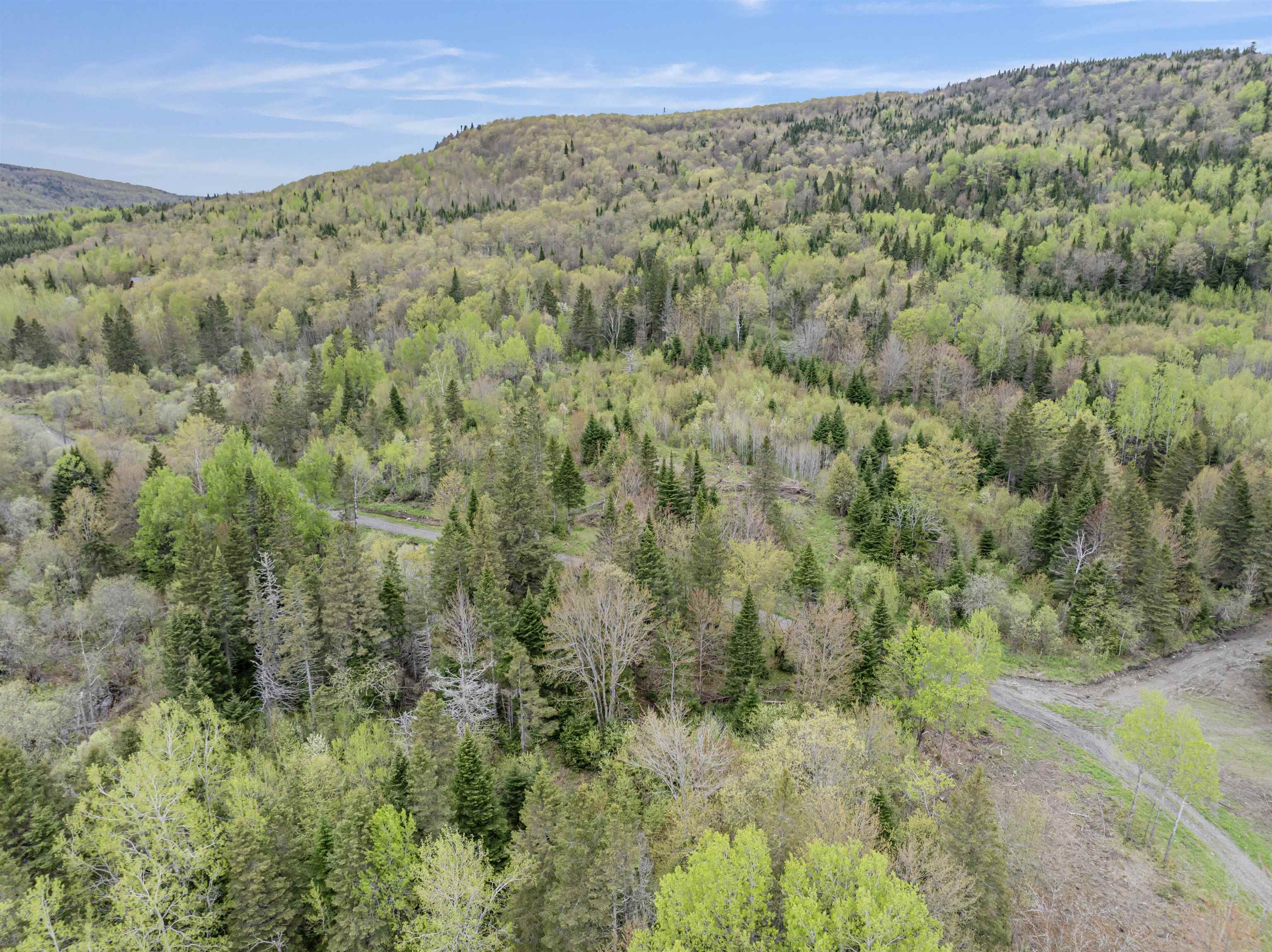 Lot 8 Holden Hill Rd, Stewartstown, NH 03576