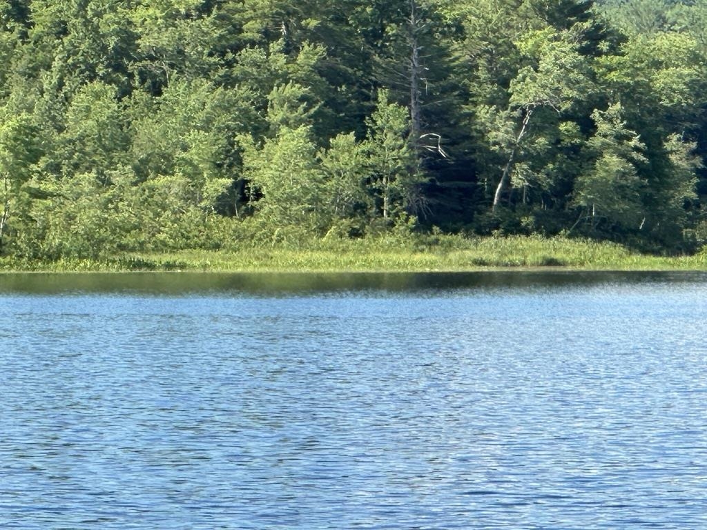 MLS #5042917 image #46