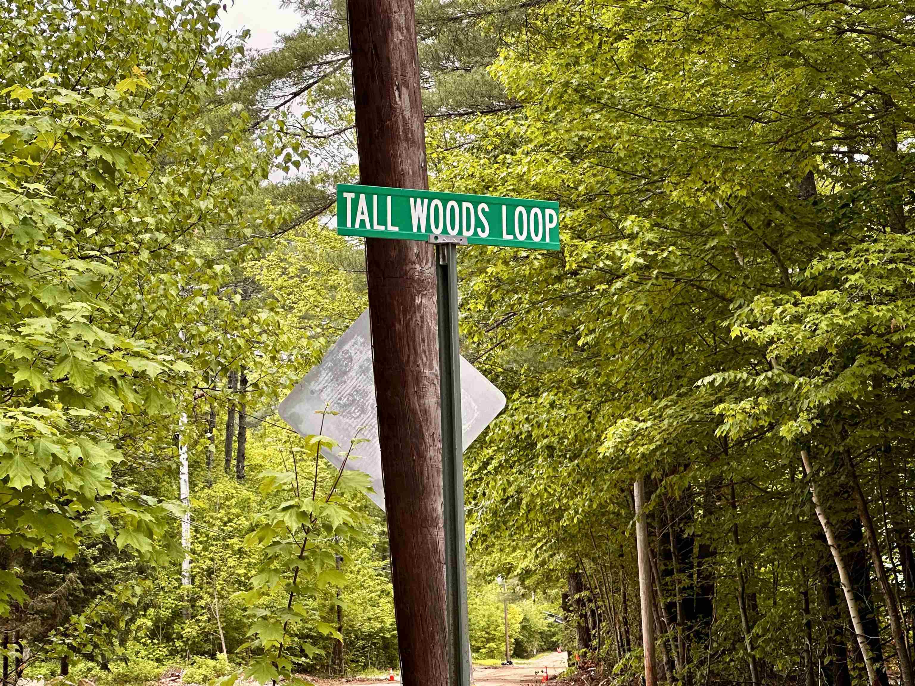 00 Tall Woods Loop, Bartlett, NH 03812