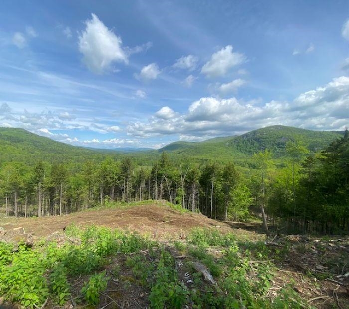 Rumney NH&nbsp;Land for sale $$275,000 | 5.25 Acres  | Price Per Acre $0 