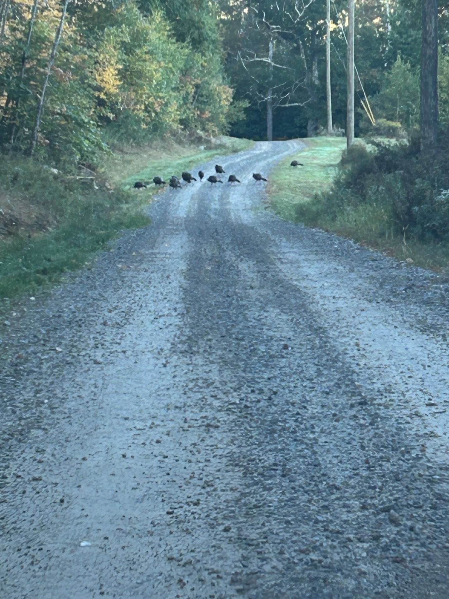 Map 7 Lot 1 298 Battle St, Webster, NH 03303