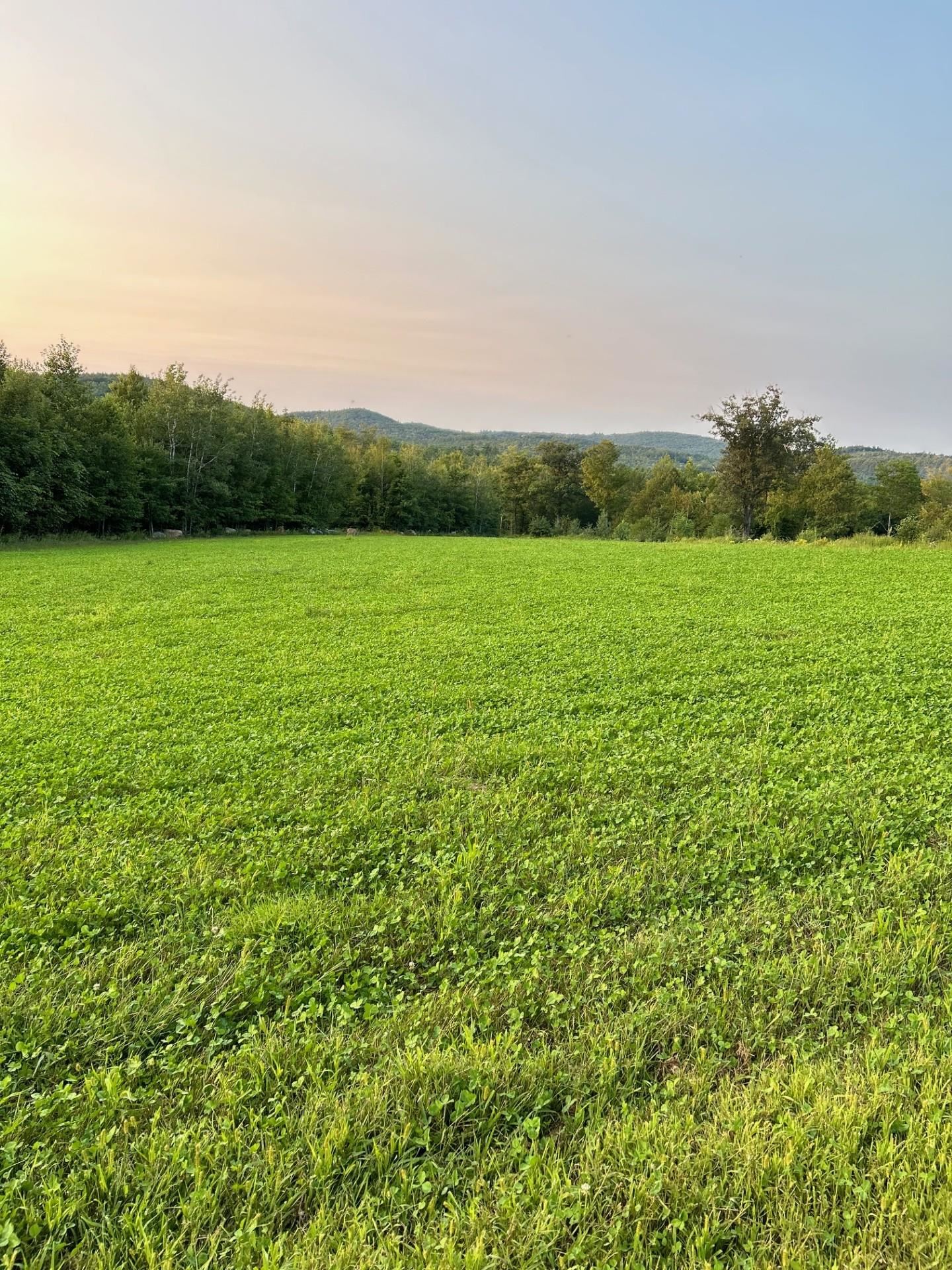 Map 7 Lot 1 298 Battle St, Webster, NH 03303