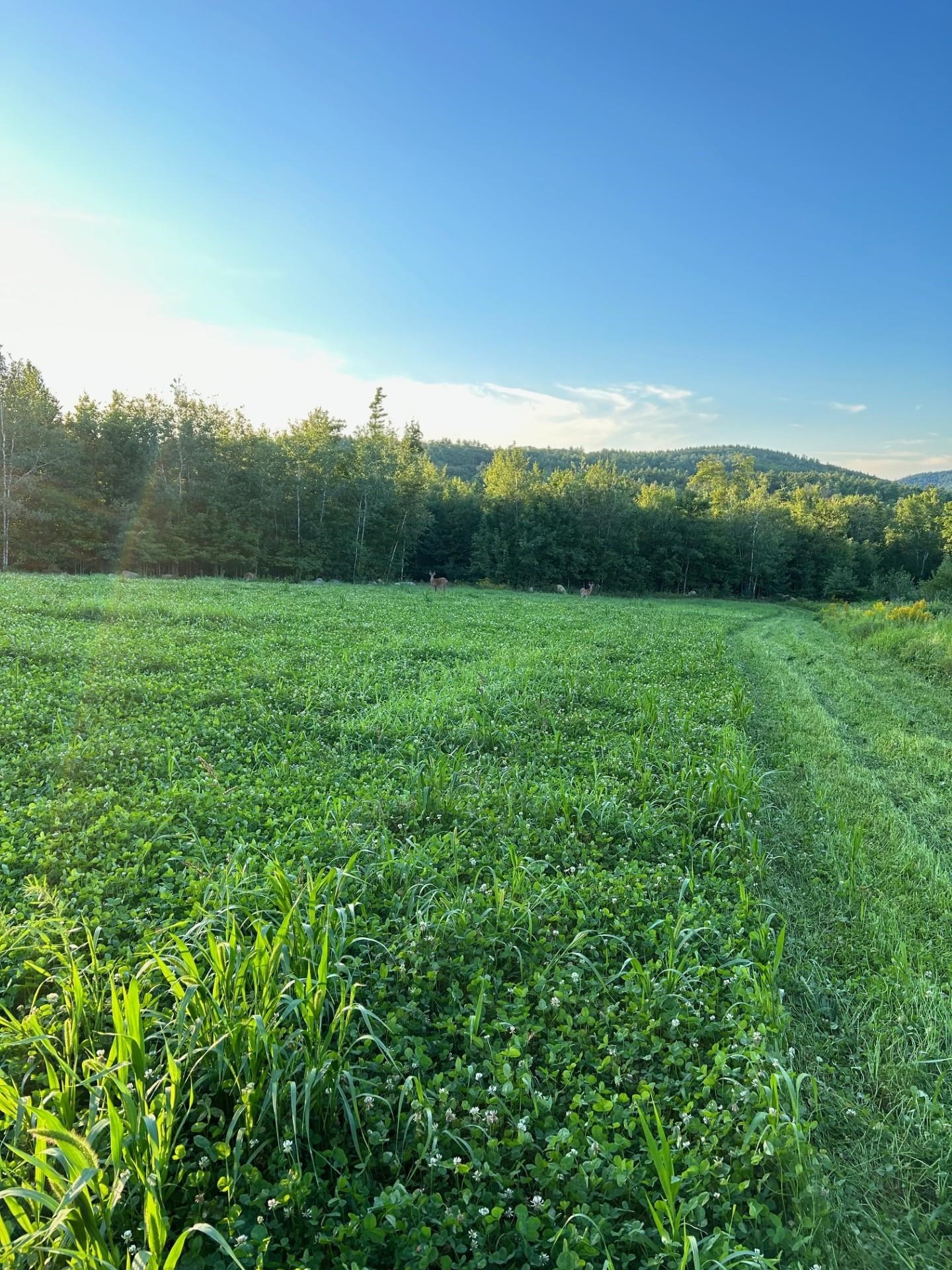 Map 7 Lot 1 298 Battle St, Webster, NH 03303