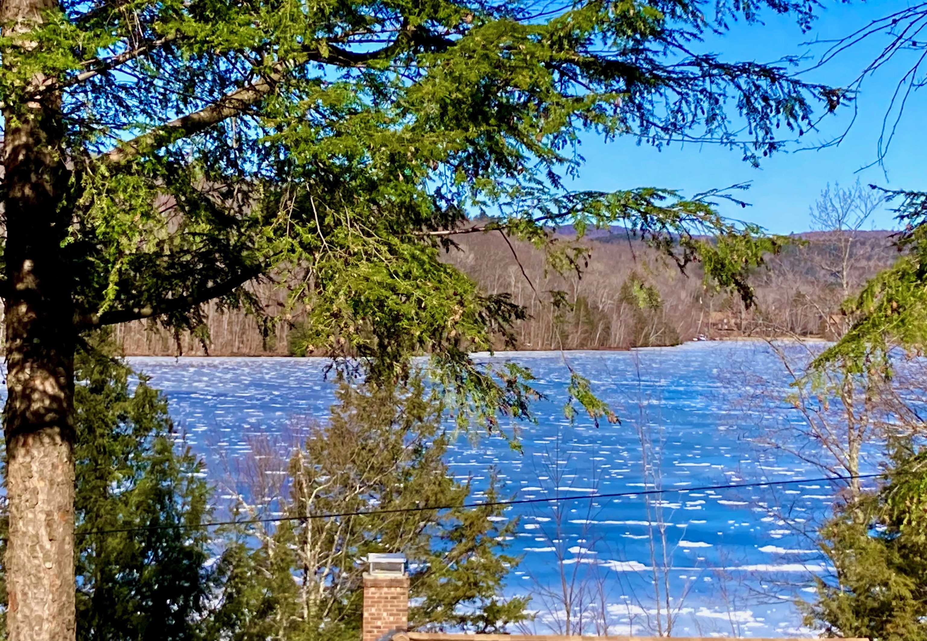 54 Black Duck Spur, Grantham, NH 03753