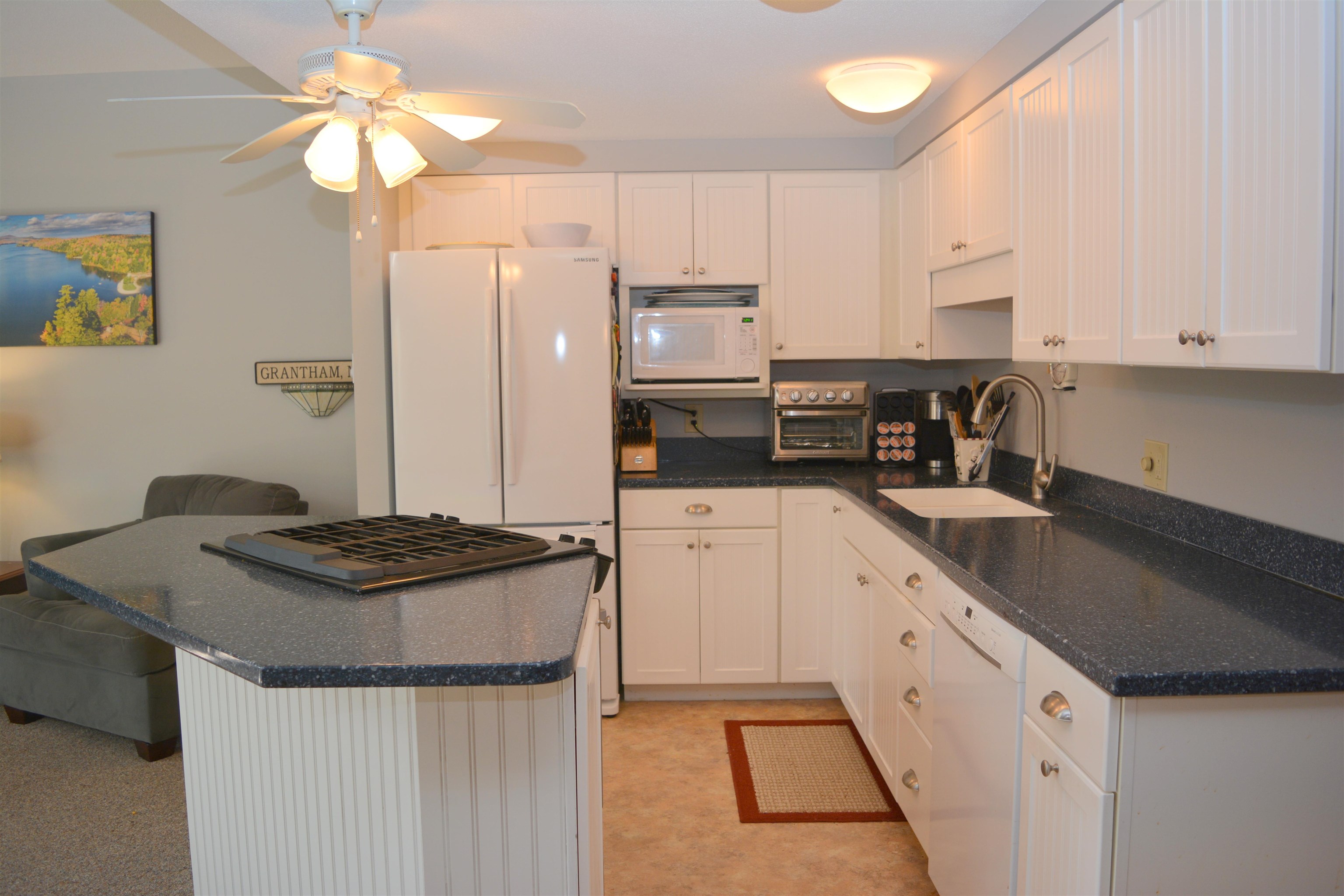 54 Black Duck Spur, Grantham, NH 03753