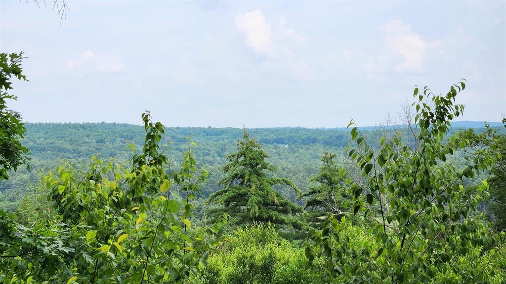 175 Valley Rd, New Durham, NH 03855