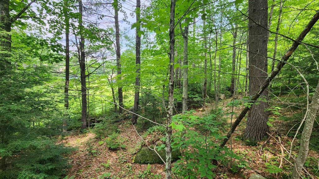 175 Valley Rd, New Durham, NH 03855