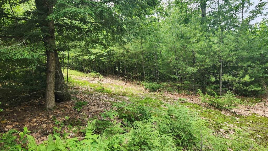 175 Valley Rd, New Durham, NH 03855