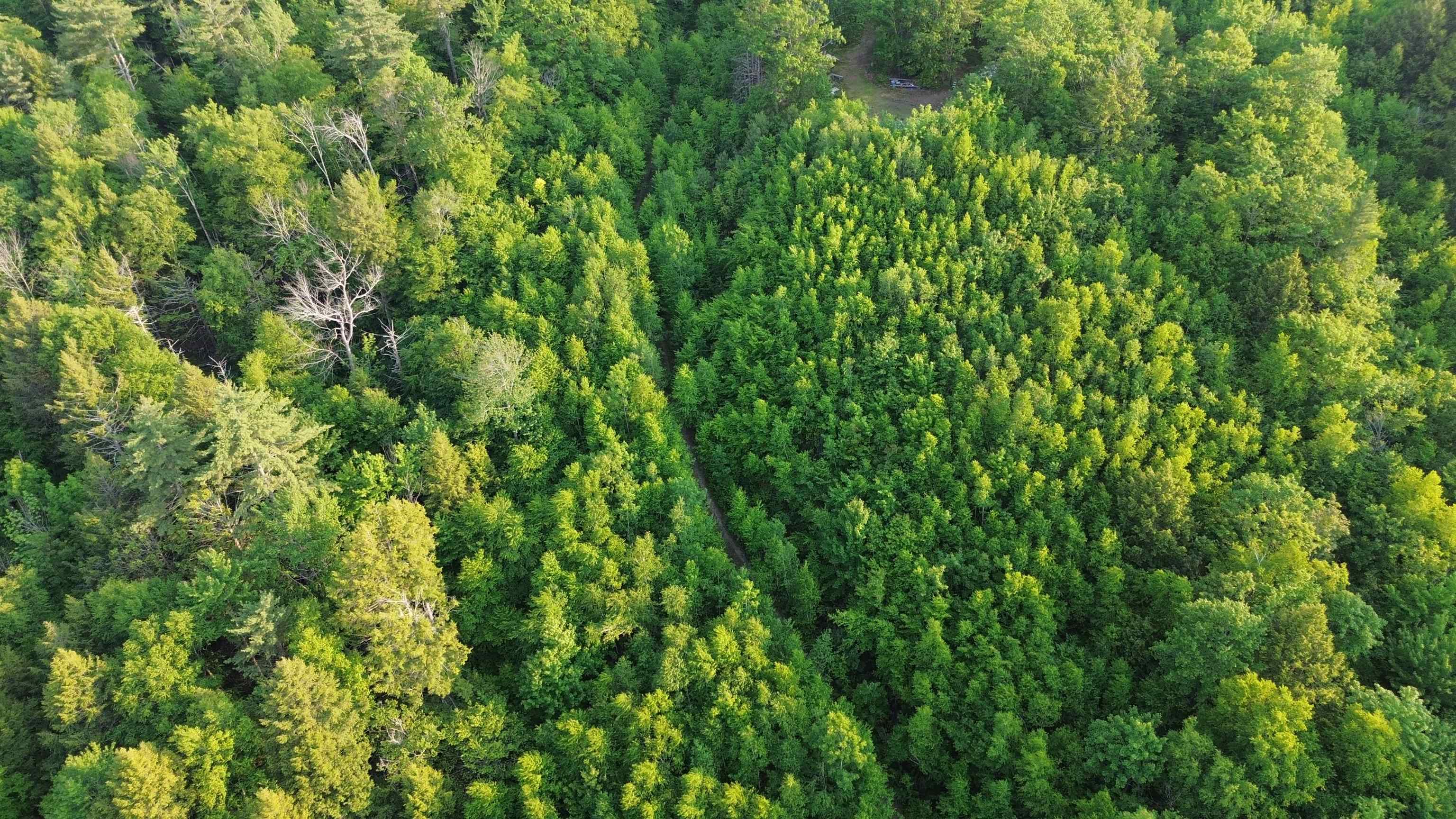 175 Valley Rd, New Durham, NH 03855