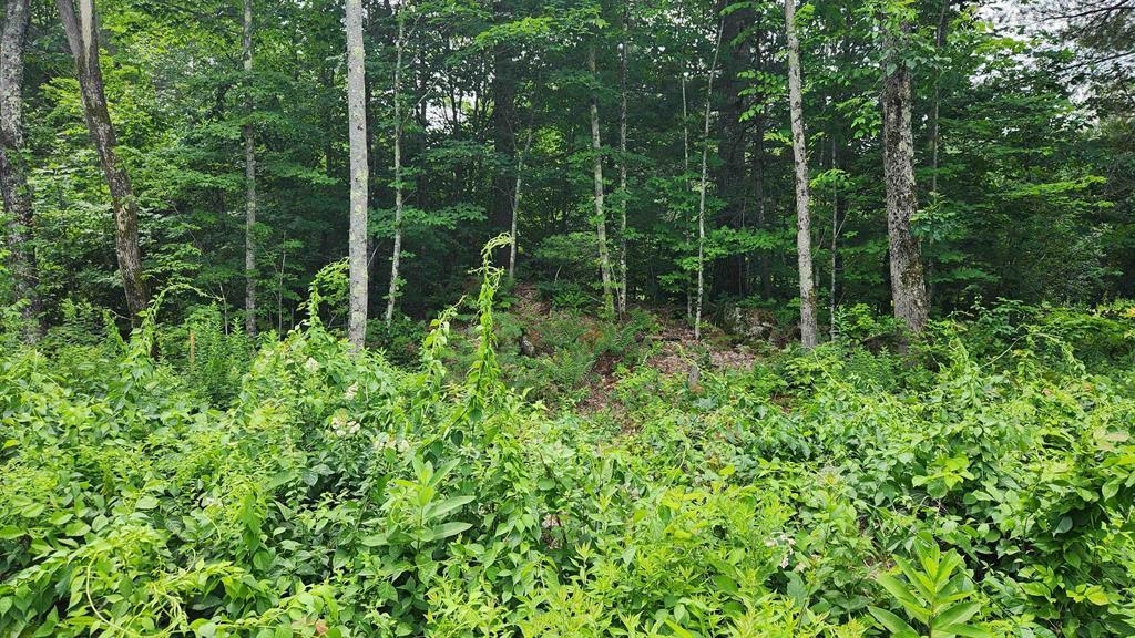 175 Valley Rd, New Durham, NH 03855