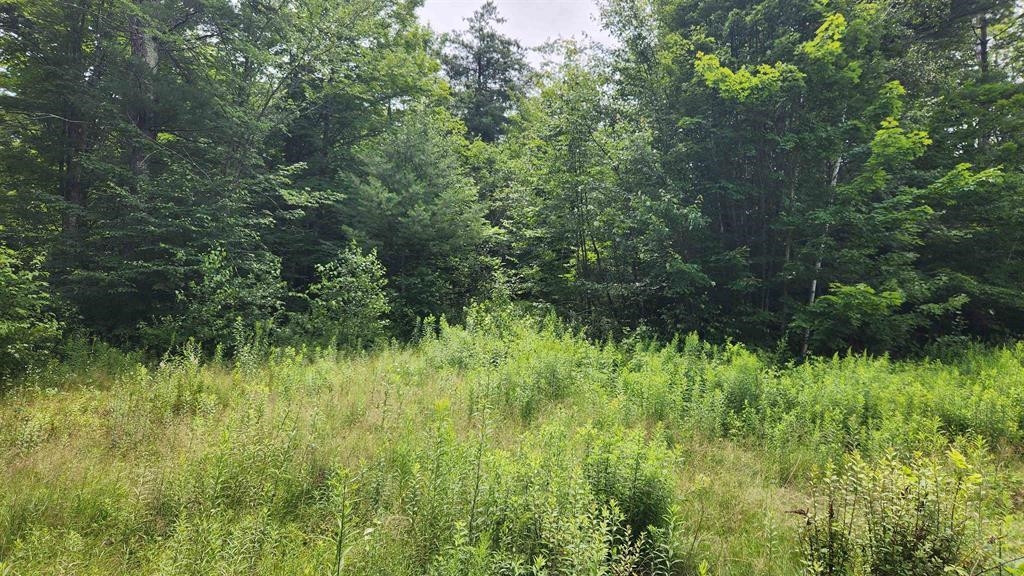 175 Valley Rd, New Durham, NH 03855