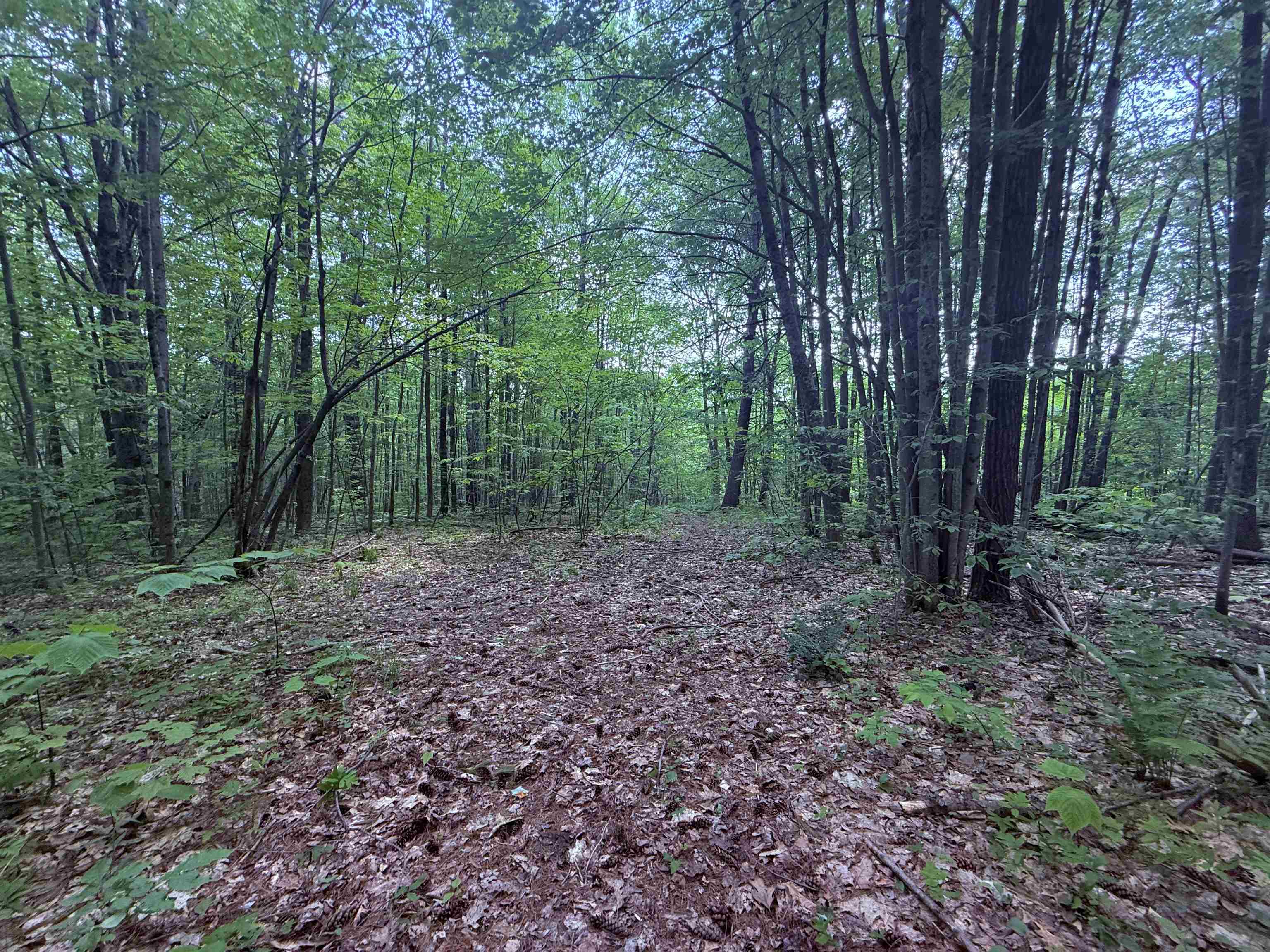 Photo 2 of Land for sale at 251 Phillips Hill Rd, Halifax, VT 05358 | MLS# 5045217 | Listing updated on 2026-09-15