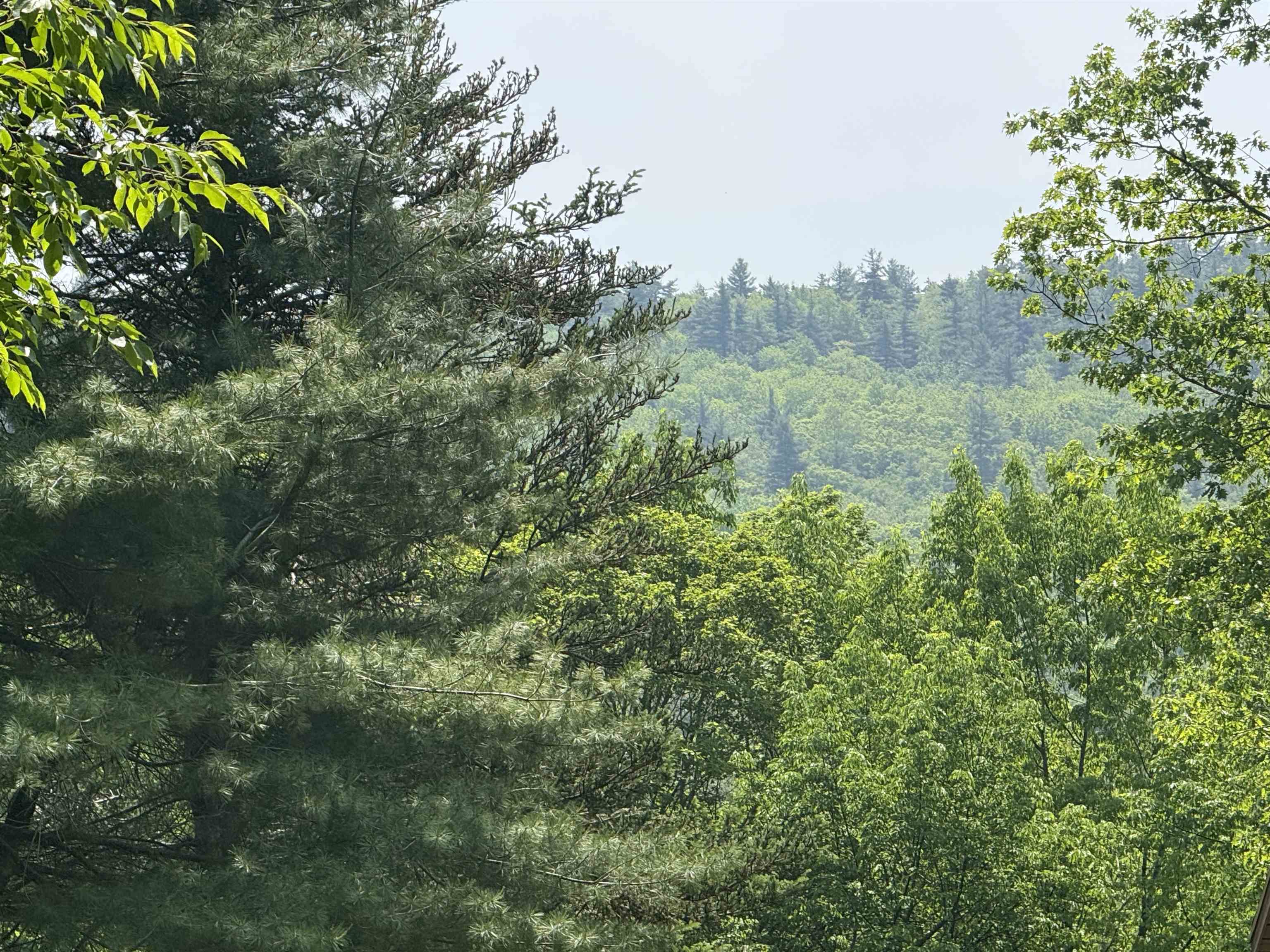 Potential View