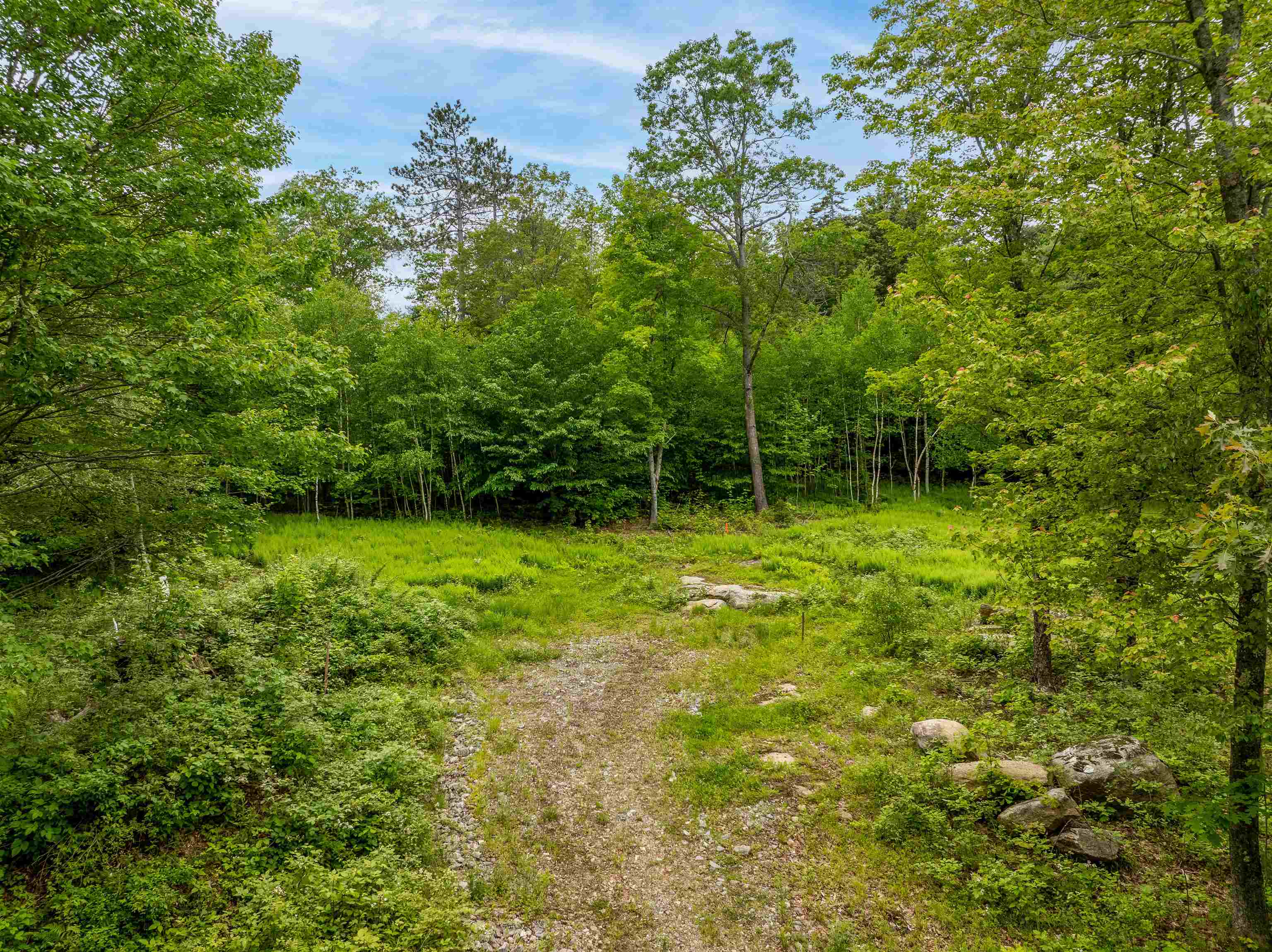 140 Hogg Hill Rd, Springfield, NH 03284