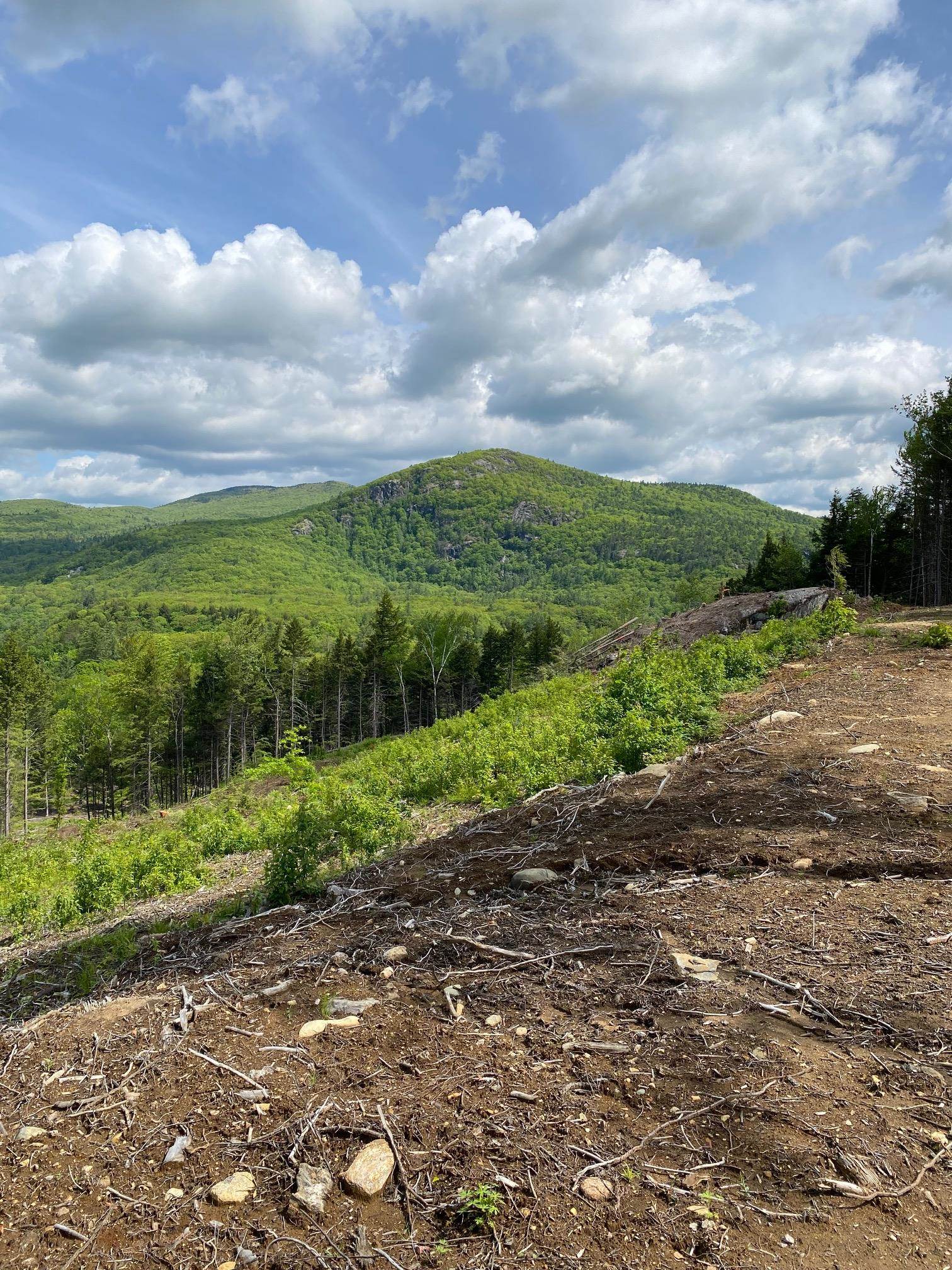 15-12-10-10 Jacob Hall Farm Rd, Rumney, NH 03266-9998