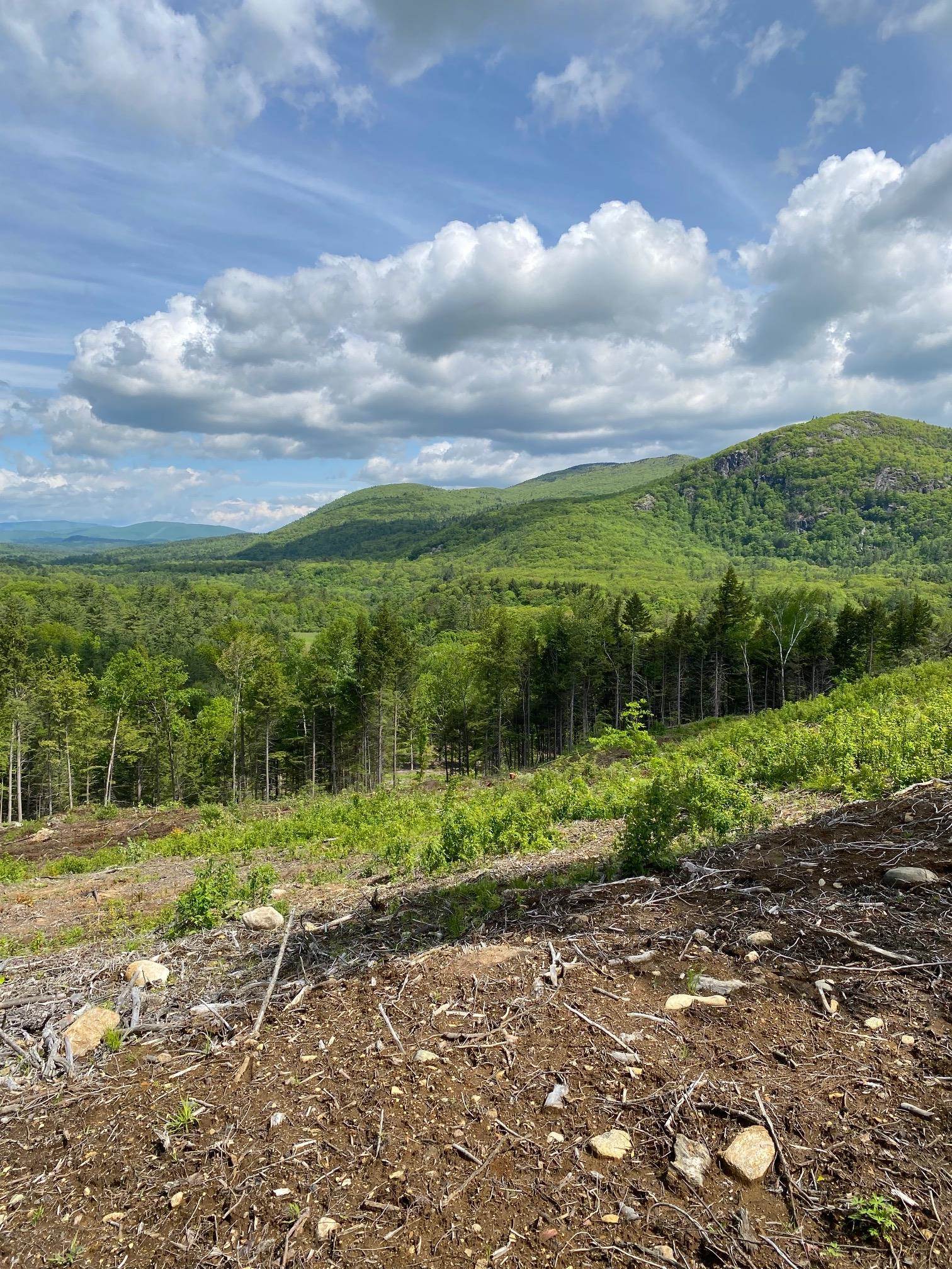 15-12-10-10 Jacob Hall Farm Rd, Rumney, NH 03266-9998