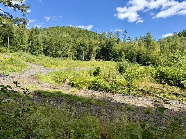 house site 2b