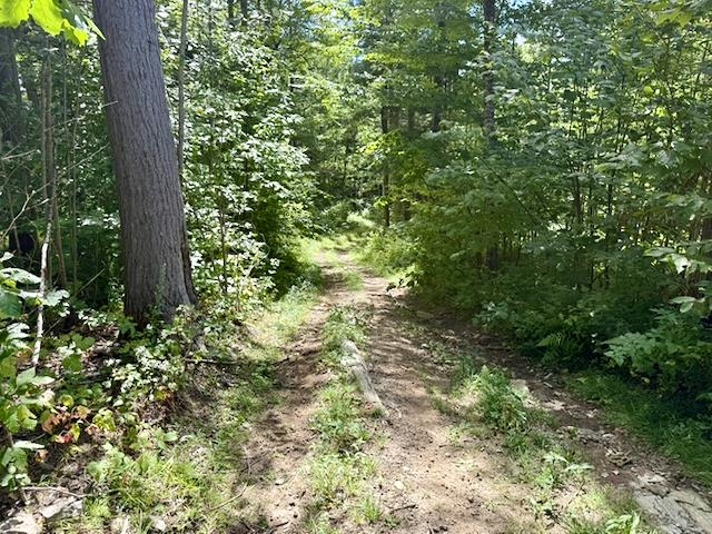 Hiking trails