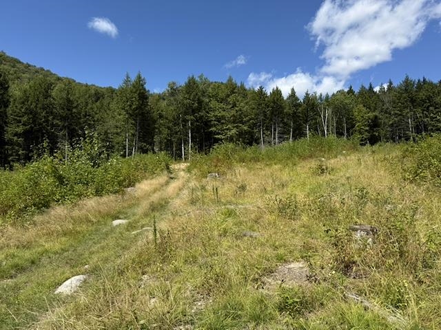 House site 3b