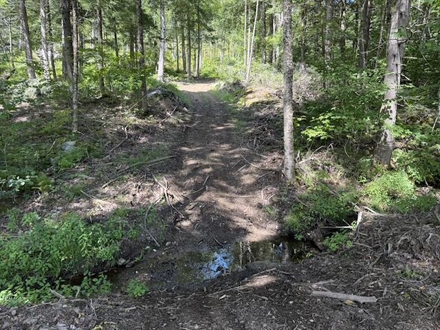 Logging trails