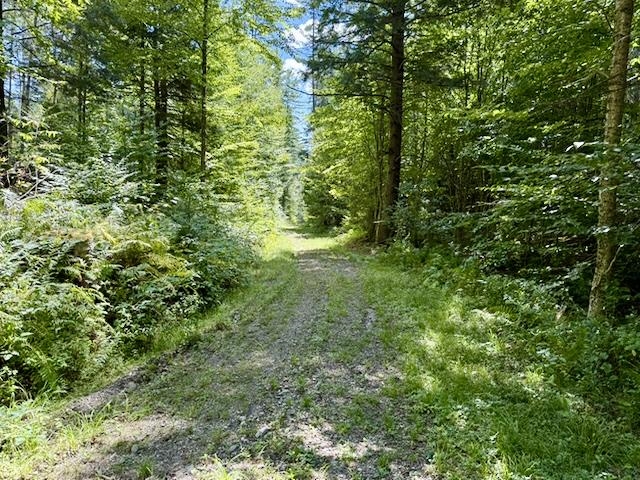 Access to house site 2&3