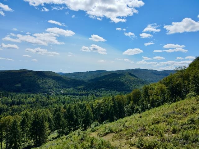 Mountain views