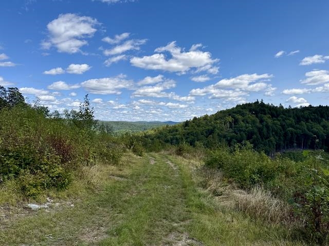 Northeast view