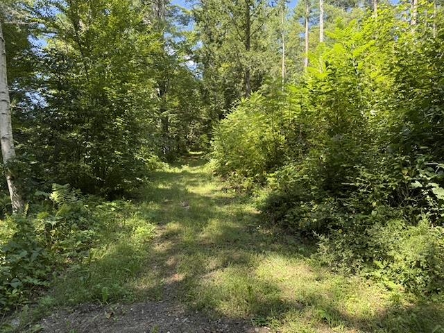 Access road