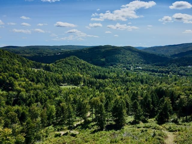 Views from the peak
